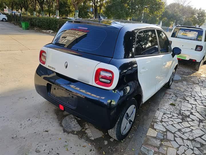 Ora Black Cat 2022 2022款 改款 301km 萌宠版 磷酸铁锂