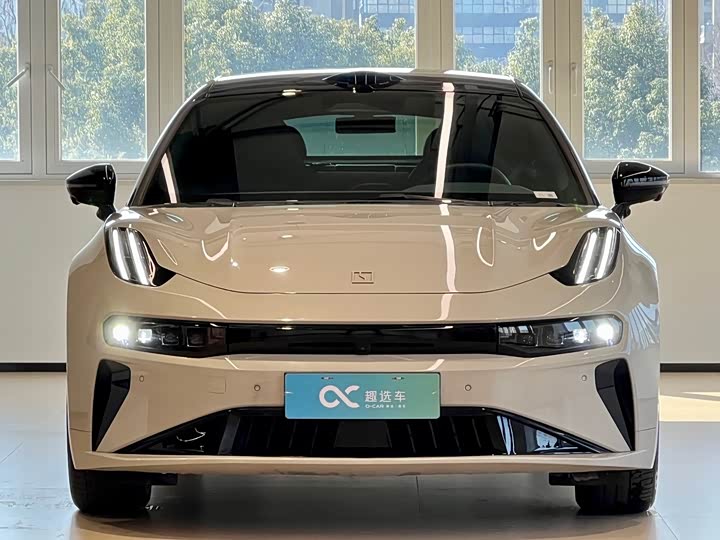 Zeekr 001 2025 2025款 YOU版 100kWh 四驱