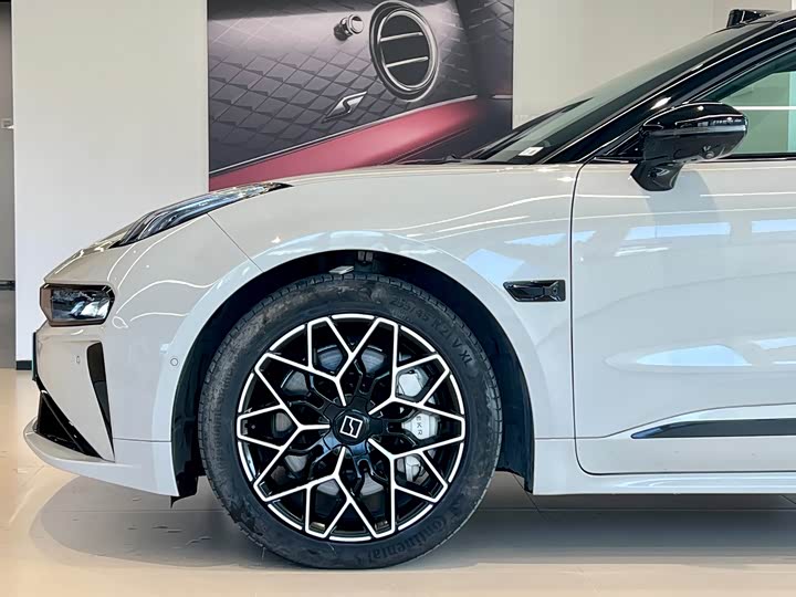 Zeekr 001 2025 2025款 YOU版 100kWh 四驱