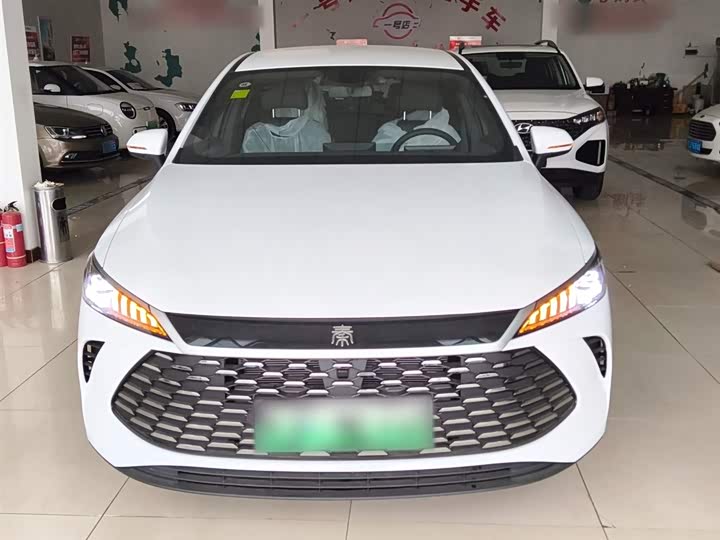 BYD Qin Plus 2025 2025款 DM-i 智驾版 55KM领先型