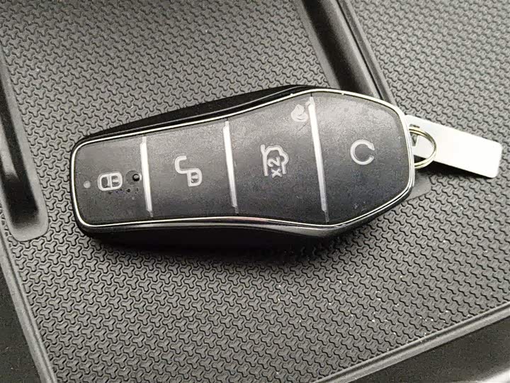 BYD Qin Plus 2025 2025款 DM-i 智驾版 55KM领先型