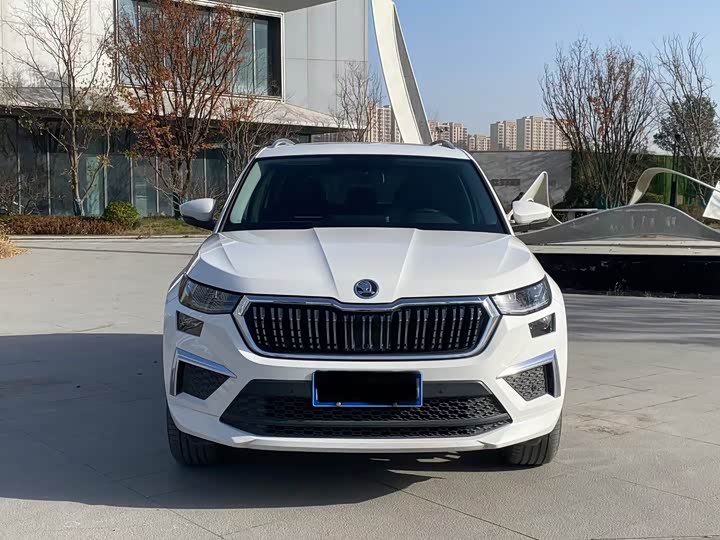 Skoda Kodiaq 2022 2022款 TSI330 7座两驱奢享版