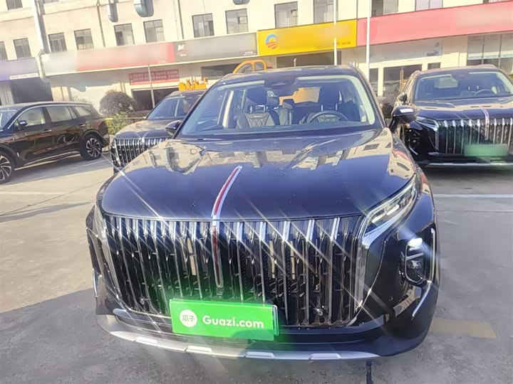 Hongqi HS7 Hybrid 2024 2024款 2.0T PHEV 四驱旗畅版 6座