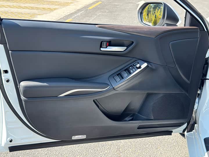 Toyota Avalon 2024 2024款 2.0L 进取版
