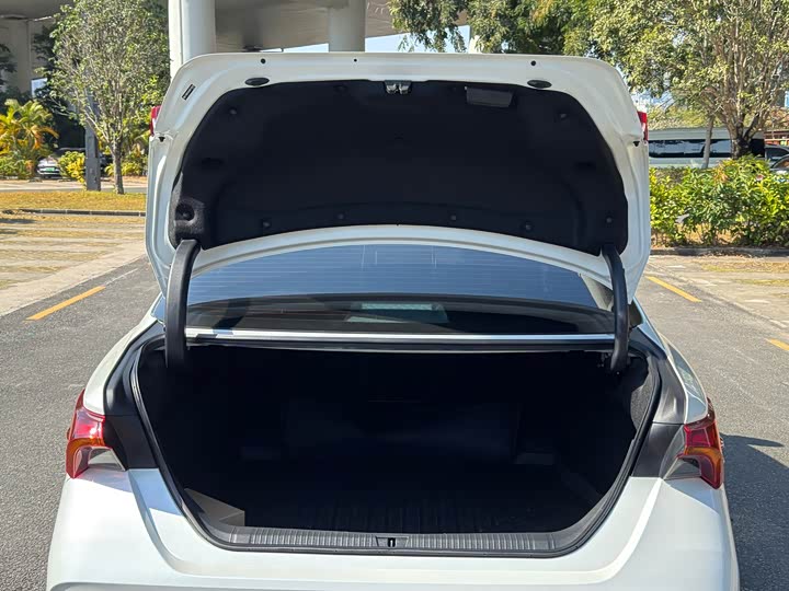 Toyota Avalon 2024 2024款 2.0L 进取版