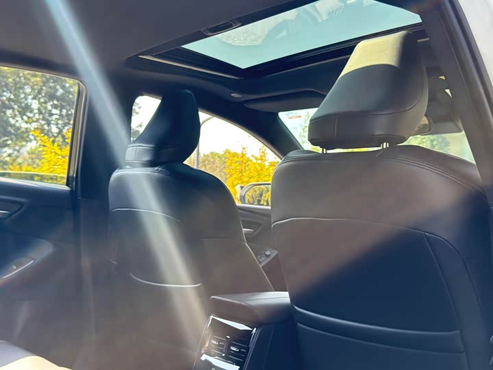 Toyota Avalon 2024 2024款 2.0L 进取版