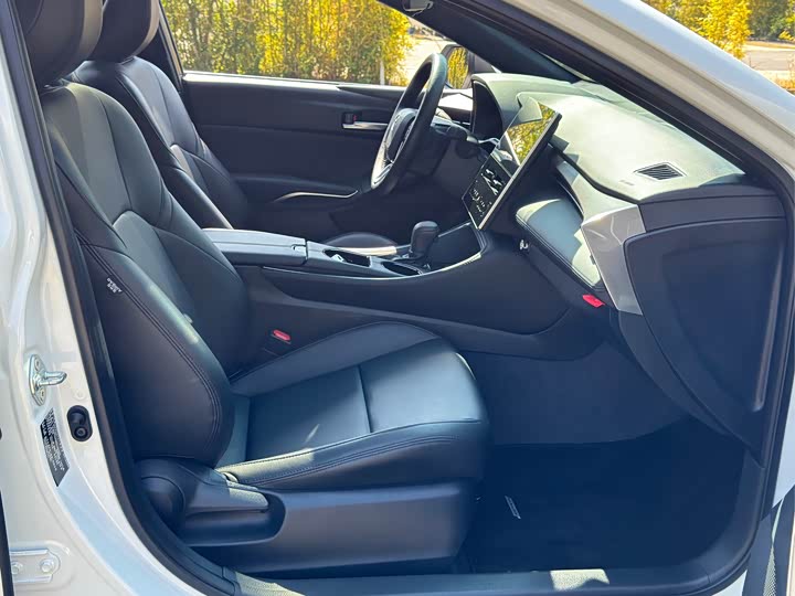 Toyota Avalon 2024 2024款 2.0L 进取版