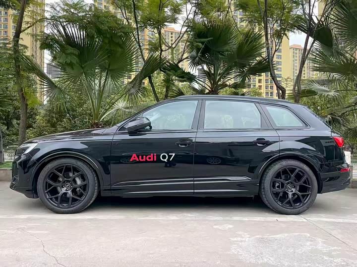 Audi Q7 2024 2024款 45 TFSI quattro S line黑武士型