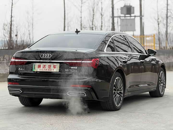 Audi A6L Hybrid 2022 2022款 55 TFSI e quattro