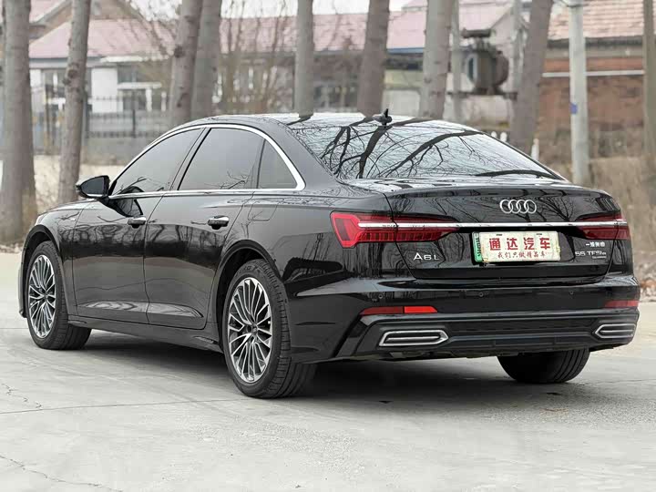Audi A6L Hybrid 2022 2022款 55 TFSI e quattro