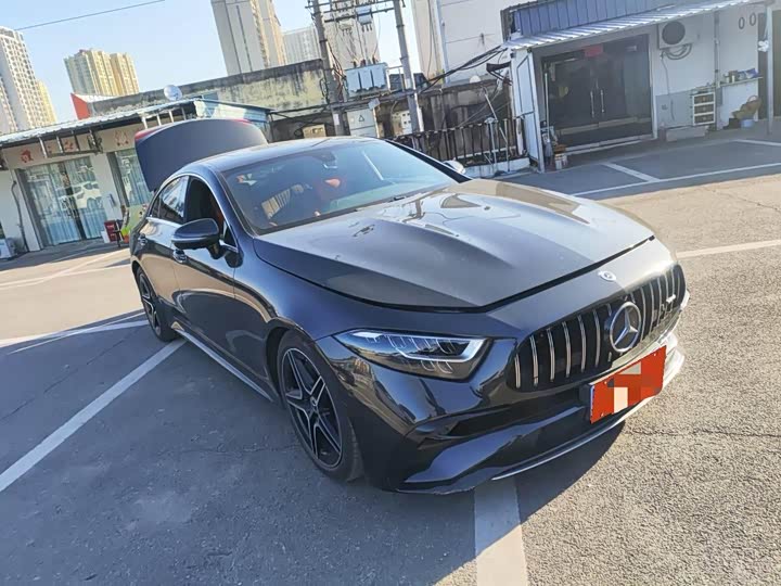 Mercedes-Benz CLS-Class 2023 2023款 改款 CLS 300 动感型