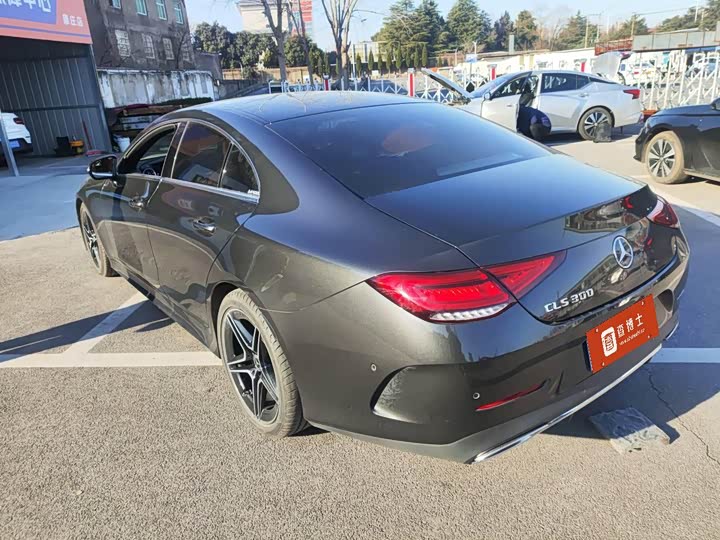 Mercedes-Benz CLS-Class 2023 2023款 改款 CLS 300 动感型
