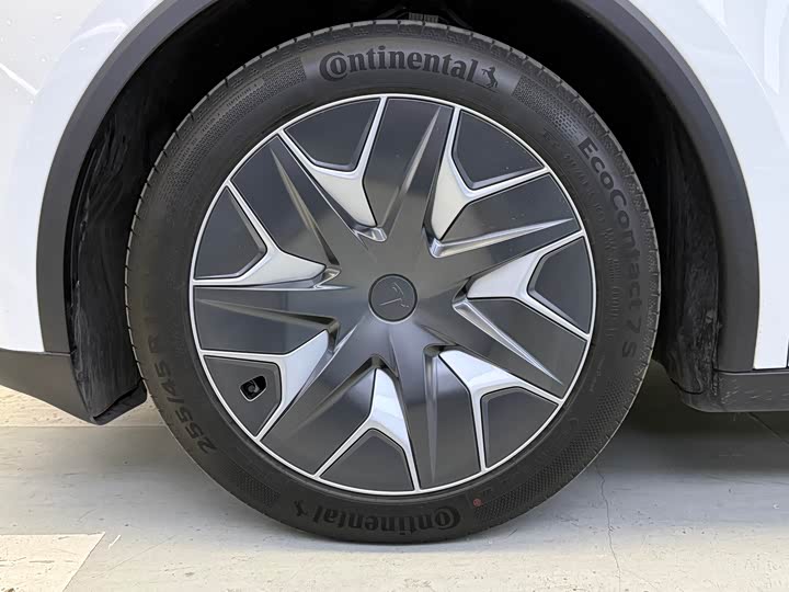 Tesla Model Y 2025 2025款 长续航全轮驱动版