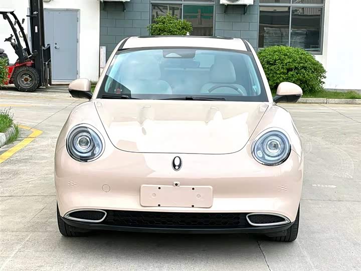 Ora Good Cat (03) 2023 2023款 401km标准续航 尊荣型 磷酸铁锂