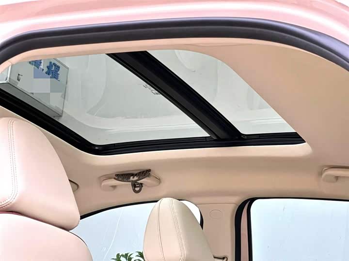 Ora Good Cat (03) 2023 2023款 401km标准续航 尊荣型 磷酸铁锂