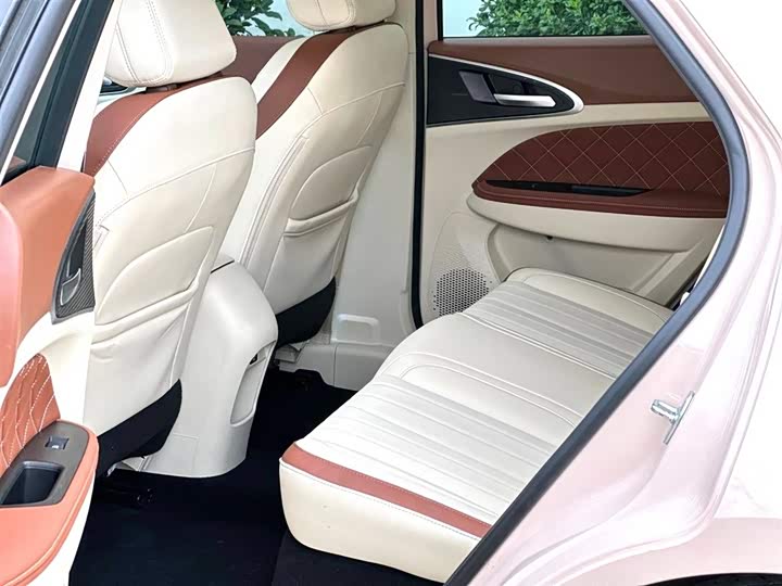 Ora Good Cat (03) 2023 2023款 401km标准续航 尊荣型 磷酸铁锂