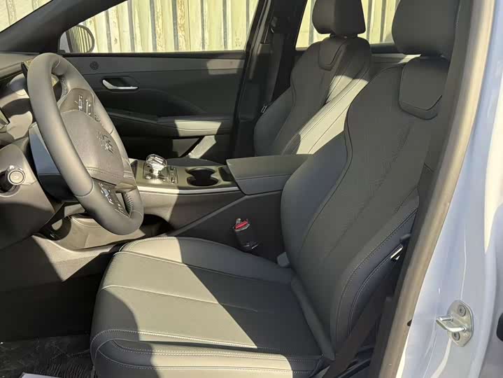 BYD Qin Plus 2025 2025款 DM-i 智驾版 55KM领先型