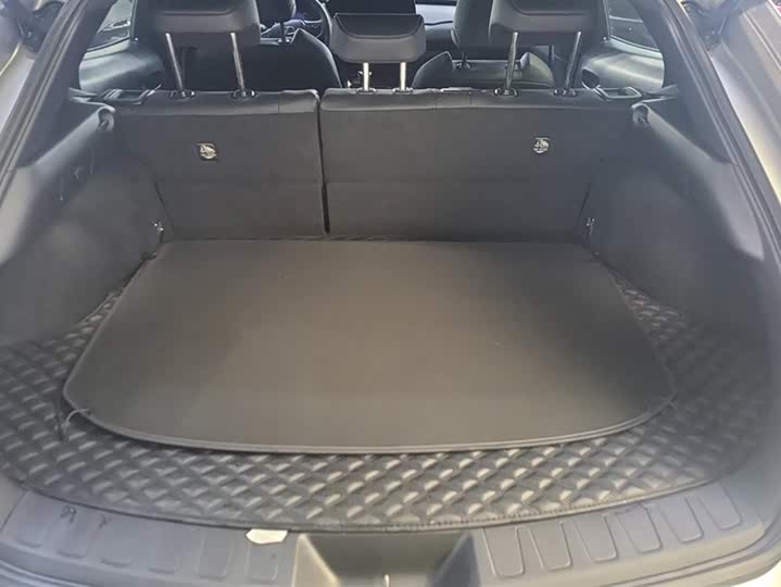 Lexus UX 2022 2022款 260h 探·酷版