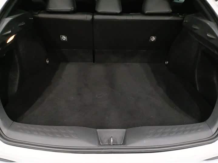 Toyota Izoa 2021 2021款 双擎 2.0L 奕享版