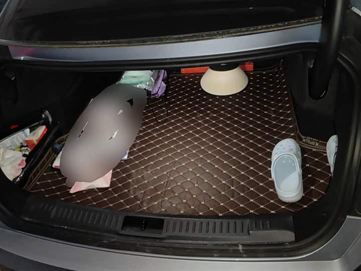 Lincoln Z (Zephyr) 2024 2024款 2.0T 尊尚版