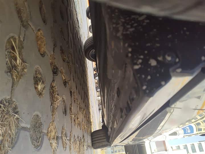 Volkswagen Golf 2025 2025款 改款二 300TSI R-Line