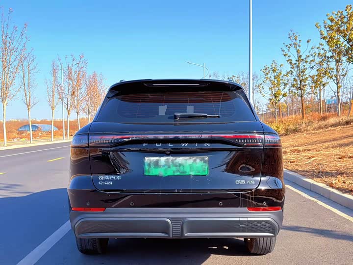 Chery Fulwin T9 2024 2024款 120 长续航版舒适型 5座 三元锂