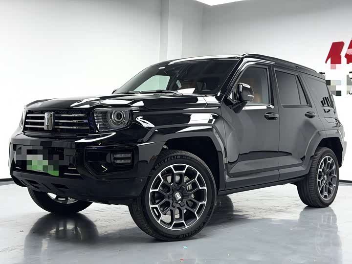 Tank 700 Hybrid 2024 2024款 Hi4-T 极境版