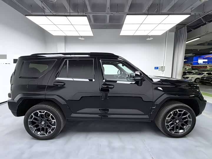 Tank 700 Hybrid 2024 2024款 Hi4-T 极境版