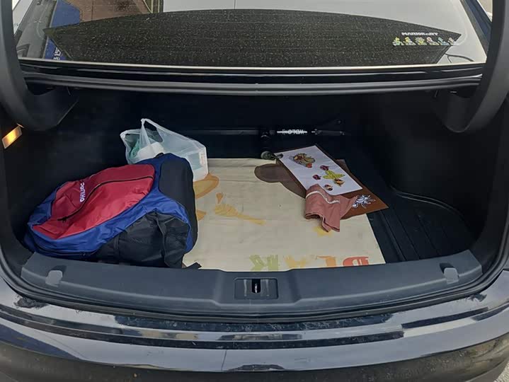 Hongqi E-QM5 2024 2024款 610km PLUS