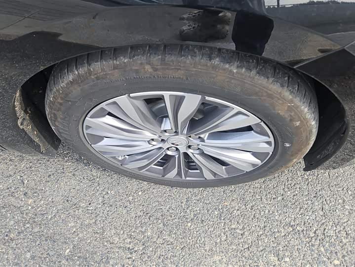 Hongqi E-QM5 2024 2024款 610km PLUS