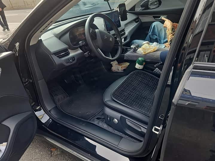 Hongqi E-QM5 2024 2024款 610km PLUS