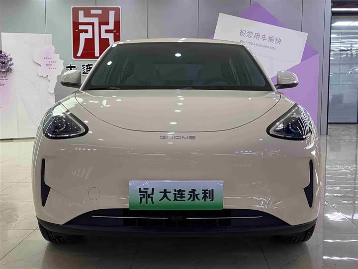 Geely Galaxy Geome 2025 2025款 410km 自由版