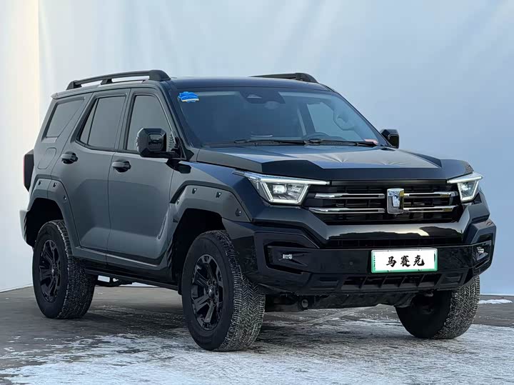 Tank 400 Hybrid 2024 2024款 Hi4-T 越野版