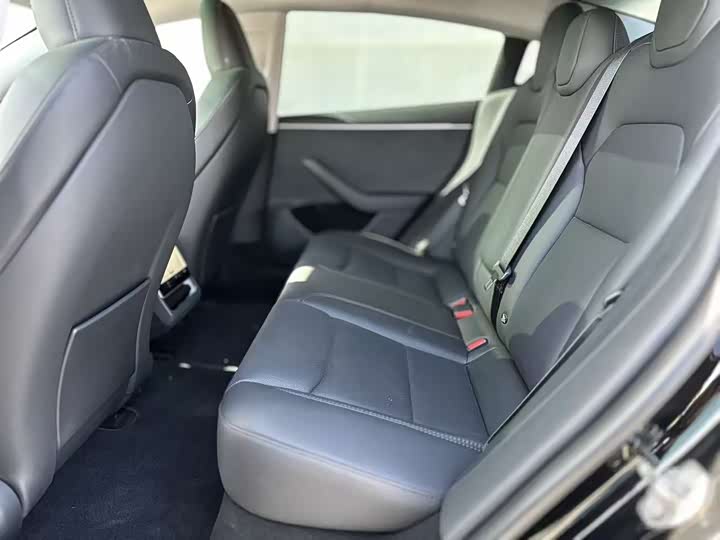 Tesla Model 3 2023 2023款 长续航全轮驱动版