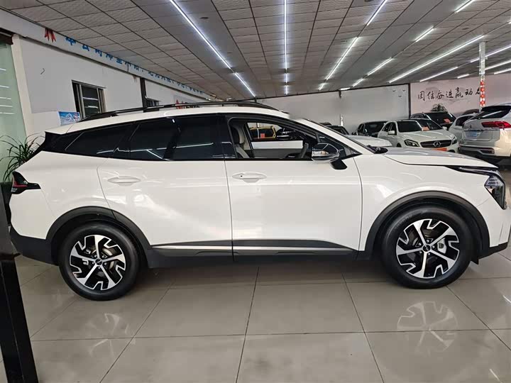 Kia Sportage 2023 2023款 1.5T 两驱尊贵版