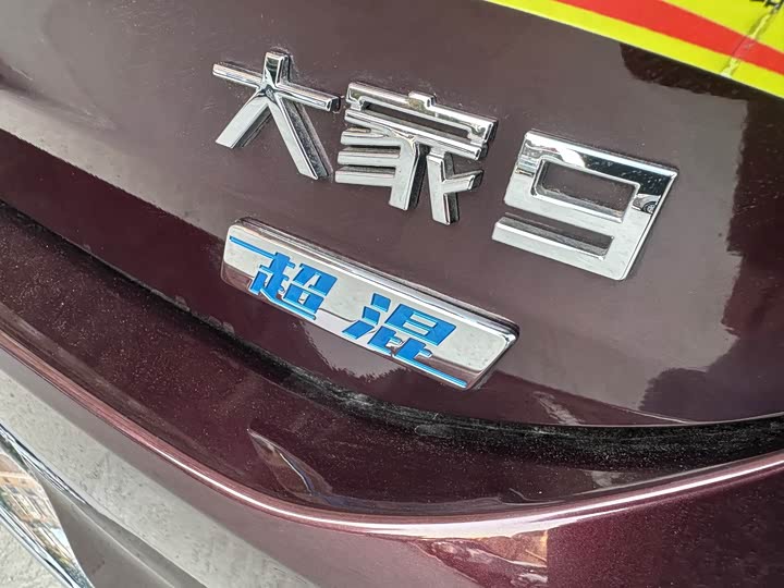 Maxus Mifa 9 2024 2024款 超混 长续航森林版 七座