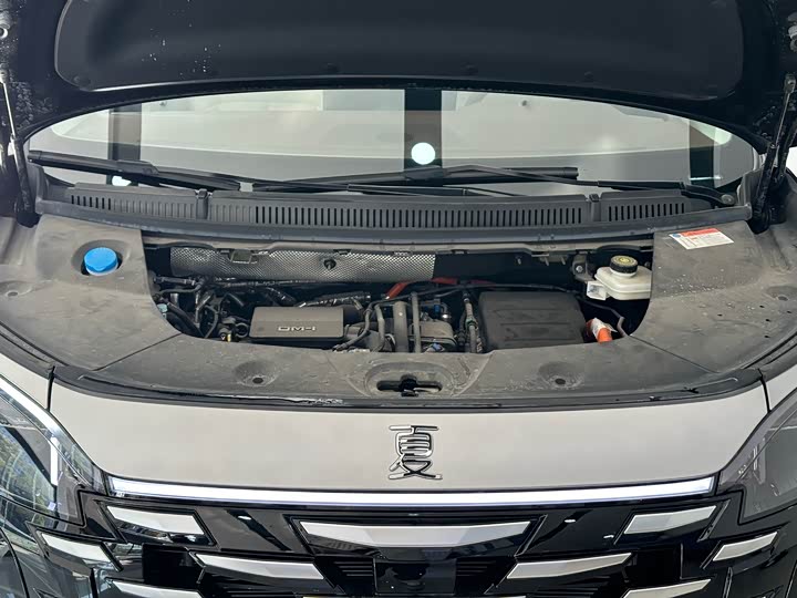 BYD Xia 2025 2025款 DM-i 1.5T 180km 卓越型