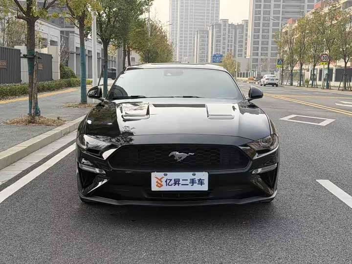 Ford Mustang 2022 2022款 2.3T EcoBoost 寰海蓝天限量版