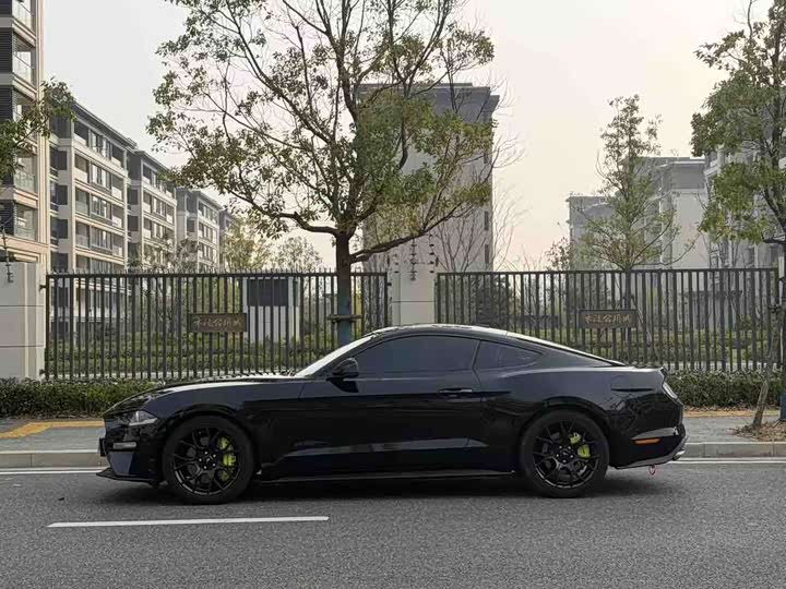 Ford Mustang 2022 2022款 2.3T EcoBoost 寰海蓝天限量版