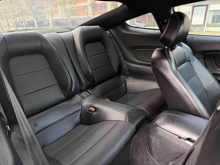 Ford Mustang 2022 2022款 2.3T EcoBoost 寰海蓝天限量版