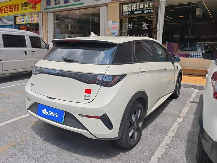 BYD Dolphin 2025 2025款 智驾版 410km 时尚版