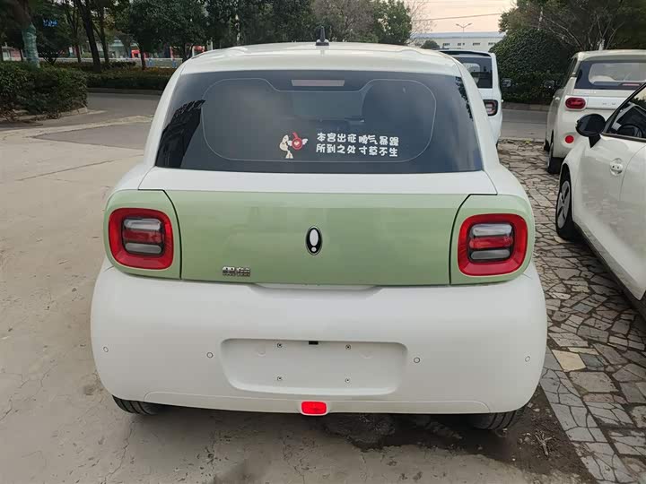 Ora Black Cat 2022 2022款 351km 舒适型 三元锂