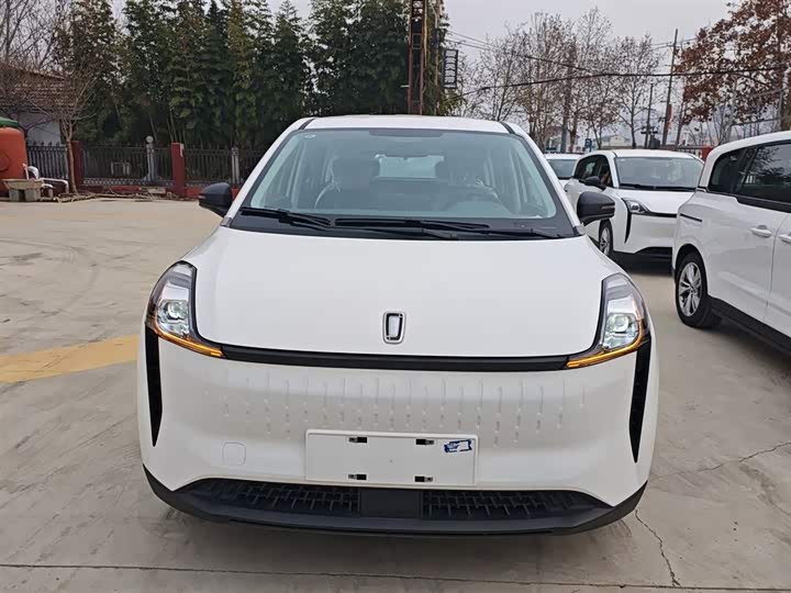 Bestune NAT 2022 2022款 舒享出行版 100kW 425km