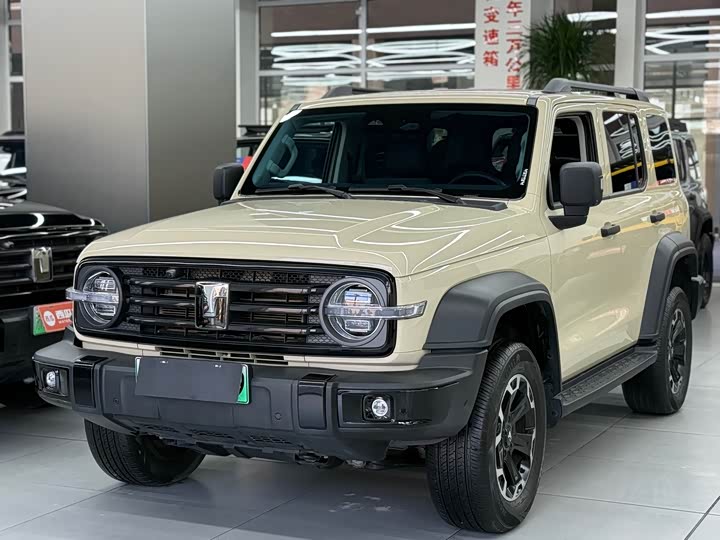 Tank 300 Hybrid 2025 2025款 Hi4-T 37.1kWh