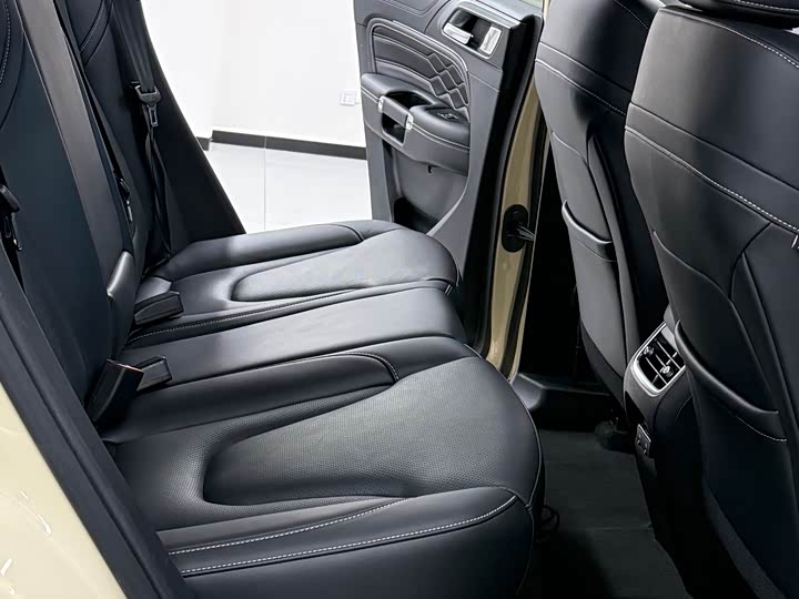 Tank 300 Hybrid 2025 2025款 Hi4-T 37.1kWh