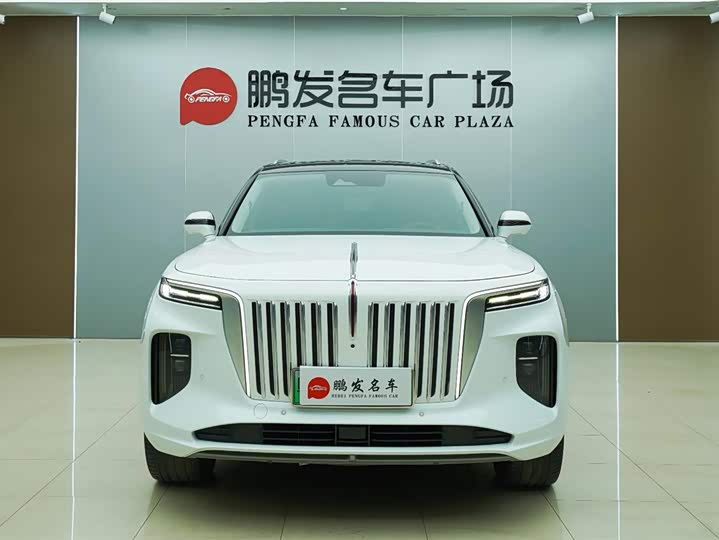 Hongqi E-HS9 2022 2022款 660km 旗畅版 六座