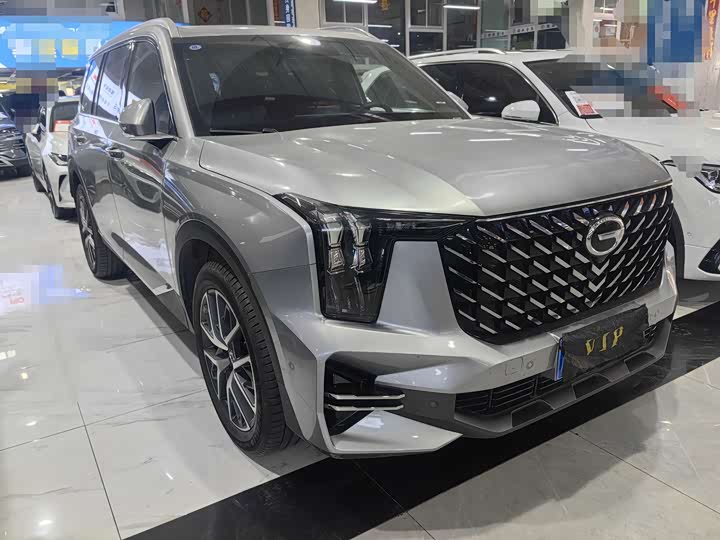 GAC Trumpchi GS8 2022 2022款 领航系列 2.0TGDI 两驱尊贵版（七座）