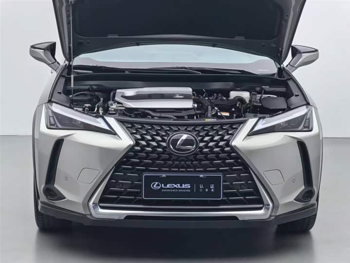 Lexus UX 2022 2022款 260h 探·趣版
