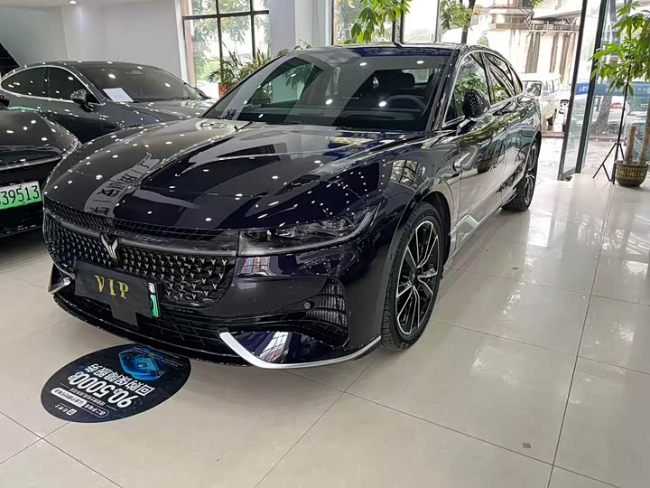 Voyah Passion 2024 2024款 PHEV 四驱超长续航旗舰版