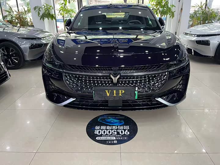 Voyah Passion 2024 2024款 PHEV 四驱超长续航旗舰版
